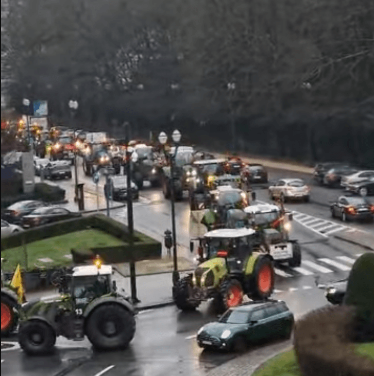 CEA’s Potential to Revolutionize Agriculture Highlighted at Brussels Event