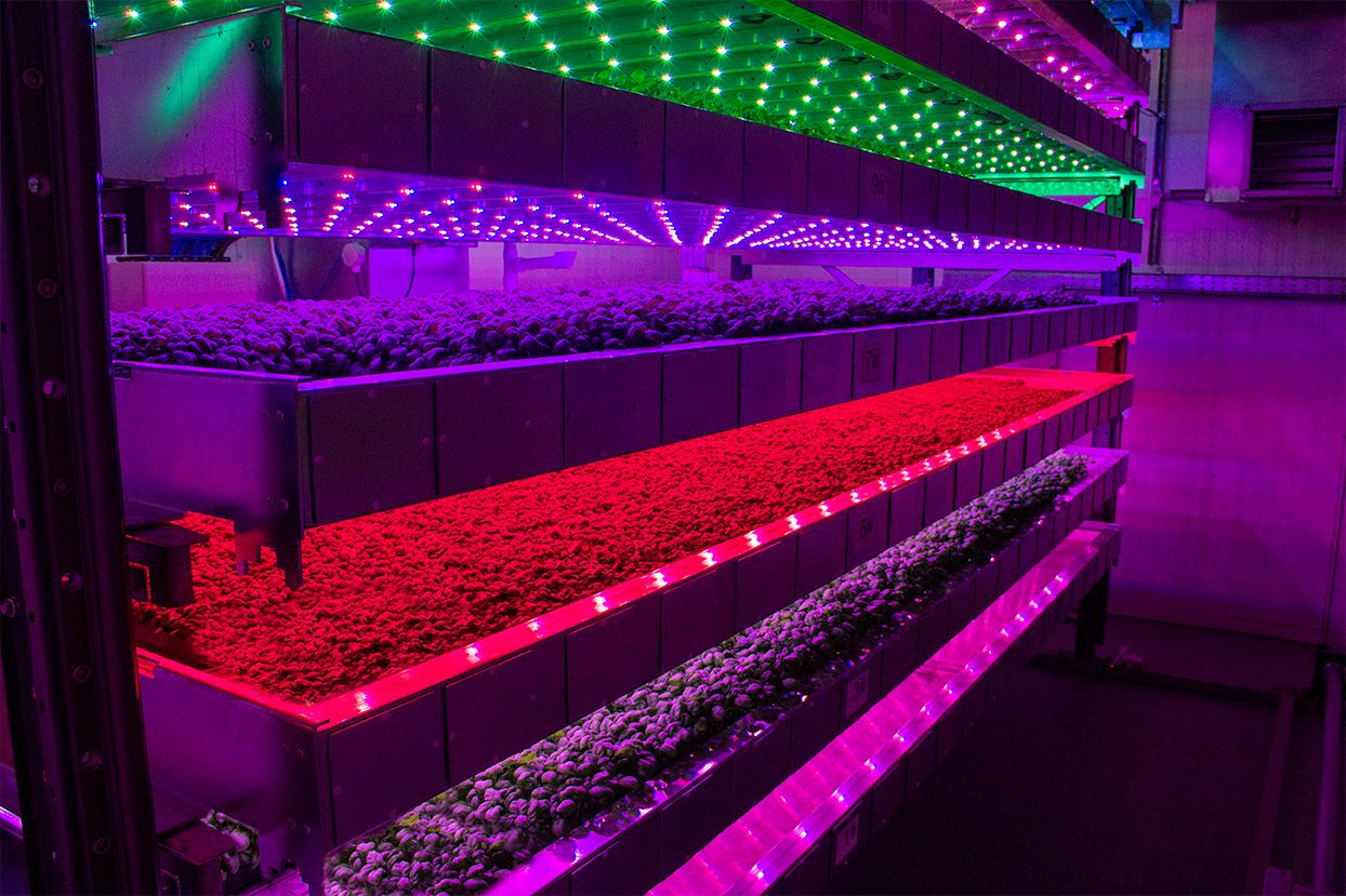 IGS intelligent system design – FTS finds out more