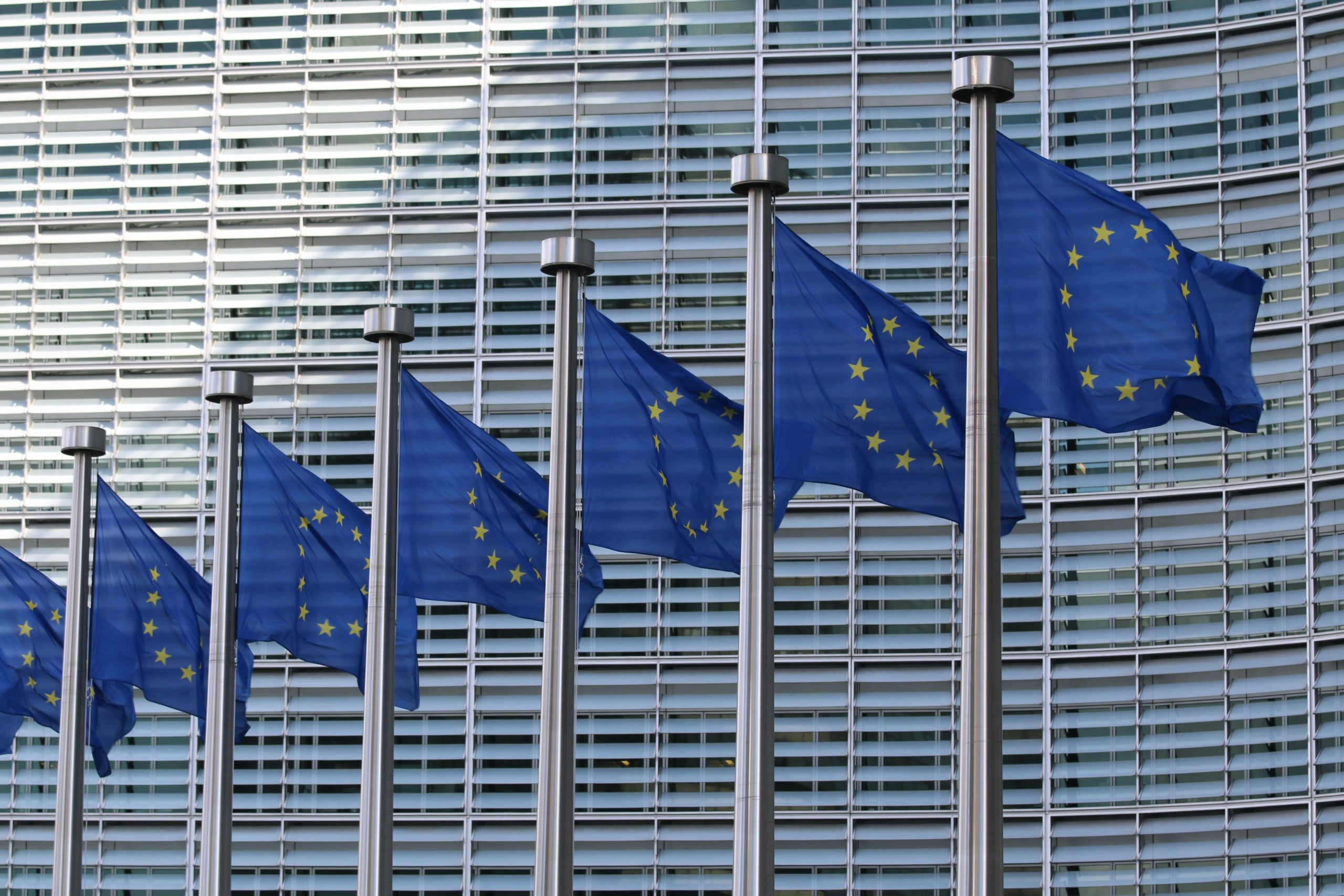 EU biodiversity strategy and the CAP: FTS voices its opinion​